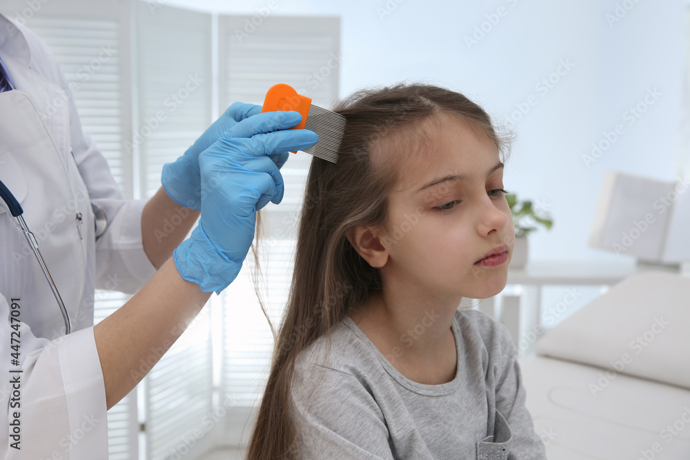 Naklejka premium Doctor using nit comb on girl's hair in clinic. Anti lice treatment
