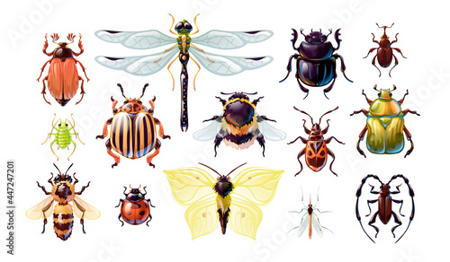 Set of cute cartoon bugs, vector illustartion © Shonyjade