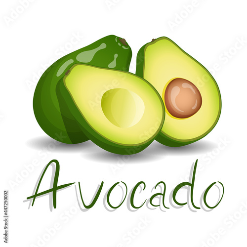 Avocado. Whole avocado and avocado in cut. Fruits, healthy eating, dieting concept. Isolated vector illustration.