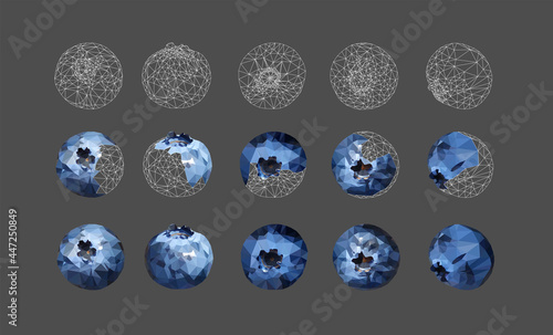 Set of Blueberries tasty and delicious isolated on grey. Low poly triangular 3d blueberries in a geometric style. Detailed vector illustration stages of the creation process