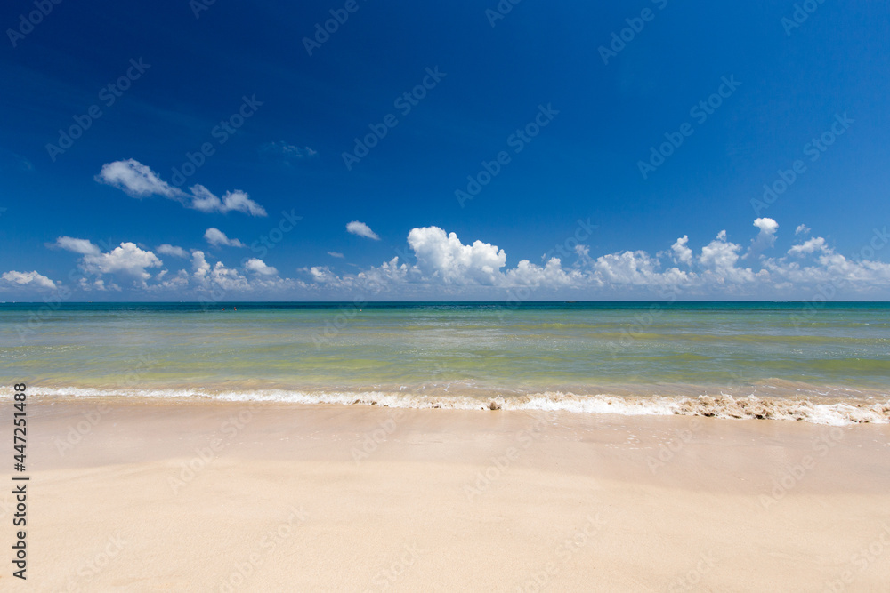 tropical beach in Sri Lanka . Summer holiday and vacation concept for tourism.