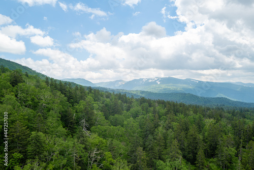                                                                 View of Mt.Asahidake in Mt.Daisetsuzan  Higashikawa-cho  Kamikawa-gun  Hokkaido.