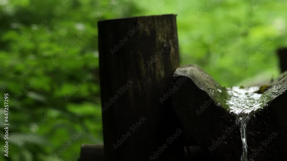 a source of fresh water in nature 4k