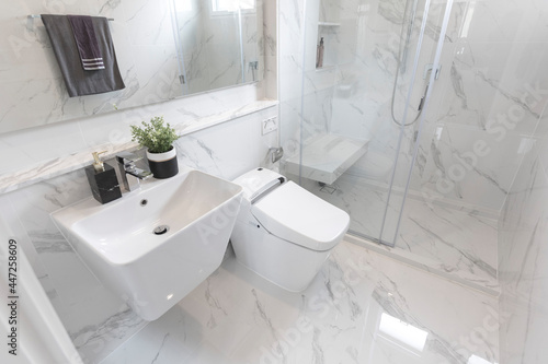 Fotografie Modern white marble sink and lavatory in a luxurious bathroom.