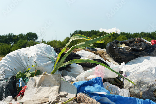 Big rubbish dump neare the road, nature and blue sky background photo