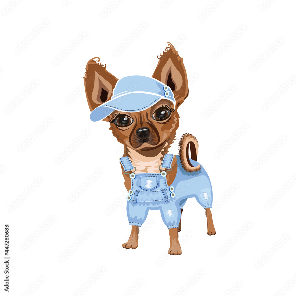 A cute little dog in denim clothes and a cap. Clothing and fashion for dogs. Vector illustration in cartoon style.