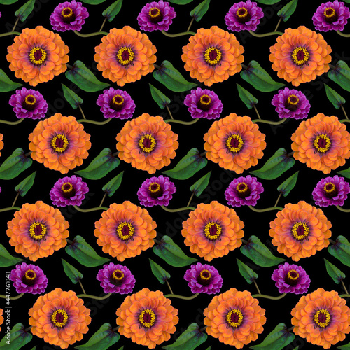 Seamless pattern with orange  purple Zinnia flowers and green leaves on black background. Endless colorful floral texture. Raster illustration.