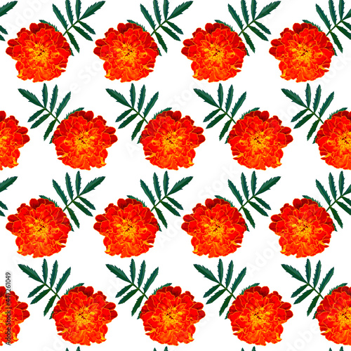 Seamless pattern with orang...