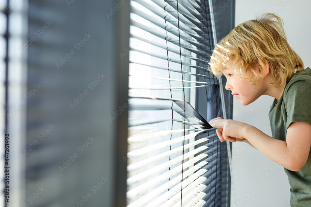 offended little caucasian boy looks out the window, lowers the blinds, spies, boy is left at home, forbidden to go out, boy is punished. side view portrait offended little caucasian boy looks out the window, lowers the blinds, spies, boy is left at home, forbidden to go out, boy is punished. side view portrait