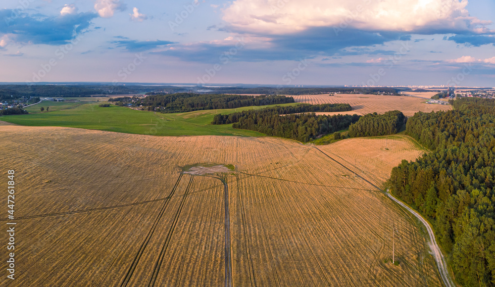 Aerial view of fields in the sunset light, Belarus. Drone aerial panorama