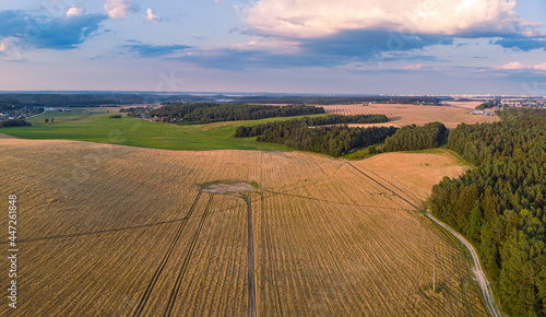Aerial view of fields in the sunset light  Belarus. Drone aerial panorama