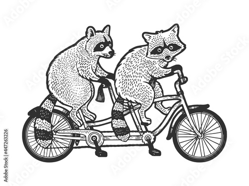 raccoons ride tandem bike sketch engraving vector illustration. T-shirt apparel print design. Scratch board imitation. Black and white hand drawn image.