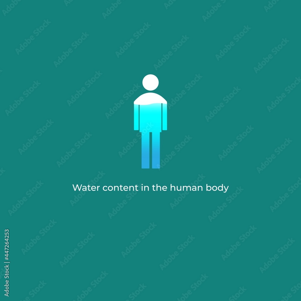 Vector illustration of a graphic of a water content in the human body. Vector illustration of a graphic of a water content in the human body.