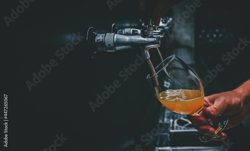 bartender hand at beer tap pouring a draught beer in glass serving in a restaurant, bar or pub photo