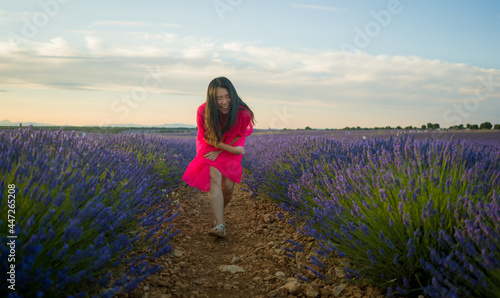 Fototapeta Naklejka Na Ścianę i Meble -  young happy and beautiful Asian Chinese woman in Summer dress enjoying nature free and playful outdoors at purple lavender flowers field in romantic beauty and freedom concept