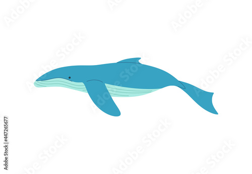 Blue whale isolated on white  save earth.