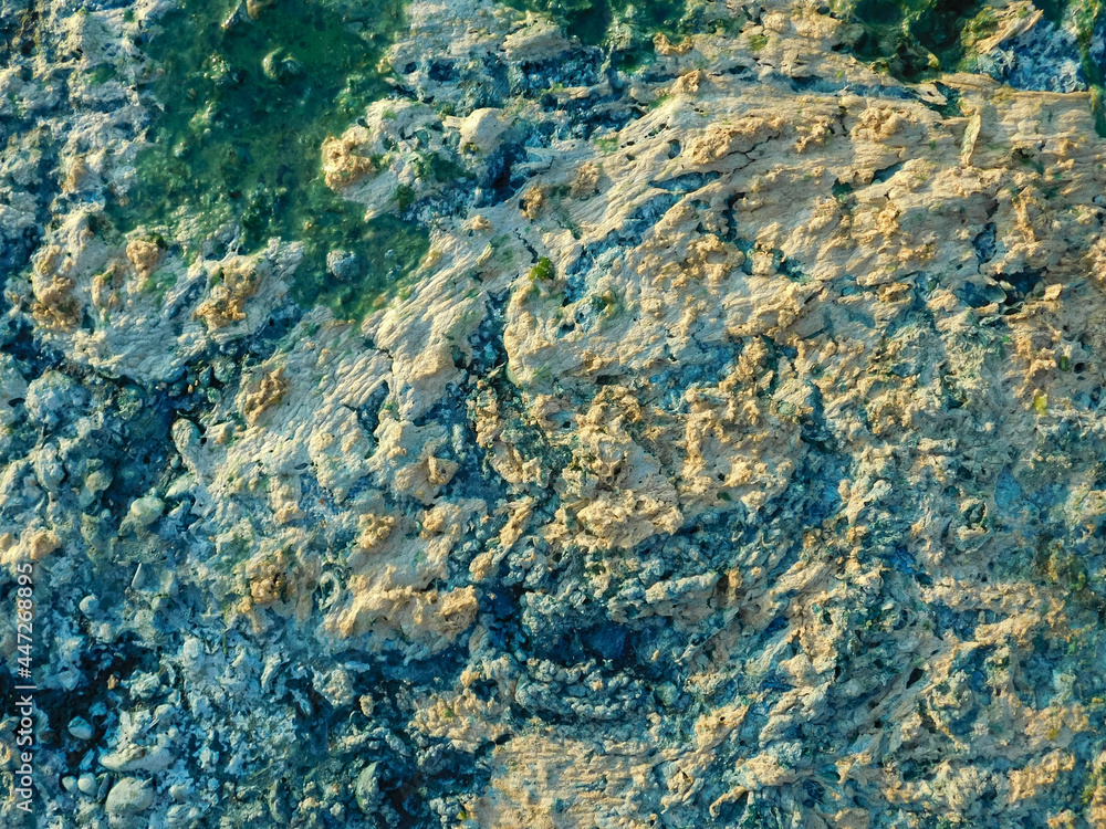 Seaweed. Blue-green algae on the surface of the water. Flowering water as background or texture.