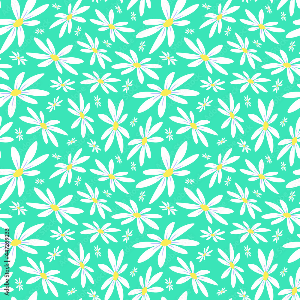 Foto auf Acrylglas mit Nahtloses Blumenmuster der weißen Gänseblümchenblume auf blauem Hintergrund #447269233