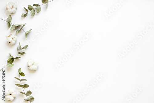 Flat lay with green eucalyptus branches and cotton flowers. Top view