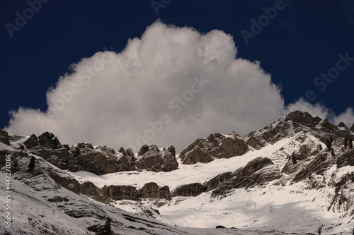 Alpengrat mit Häubchen; Blickfang am Brienzer Rothorn (Berner Oberland) photo