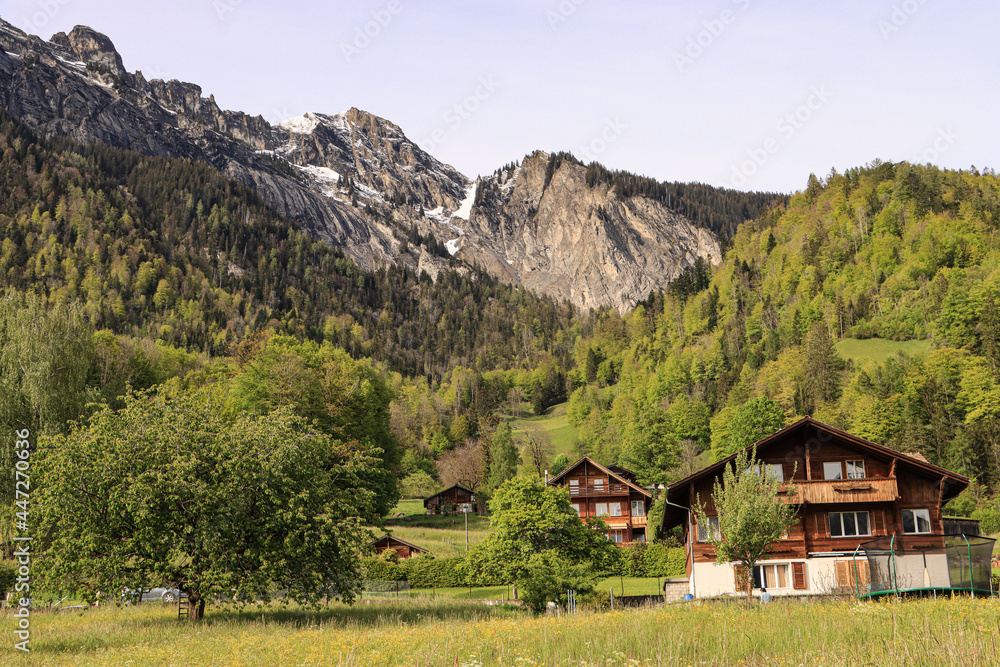 Schweizer Alpenidylle; Brienz (Dorf) und Rothorn (Dirrengrind) im Berner Oberland