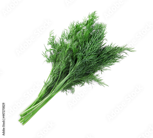 Bunch of fresh dill on white background, top view