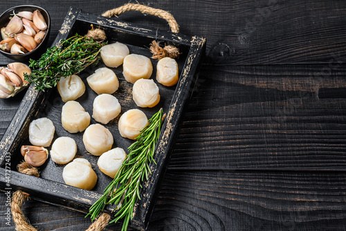 Fresh scallops meat in a wooden tray. Black wooden background. Top view. Copy space