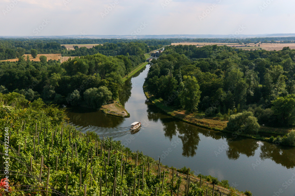 weinberg, elbe und kanaleinmündung in melnik in tschechien