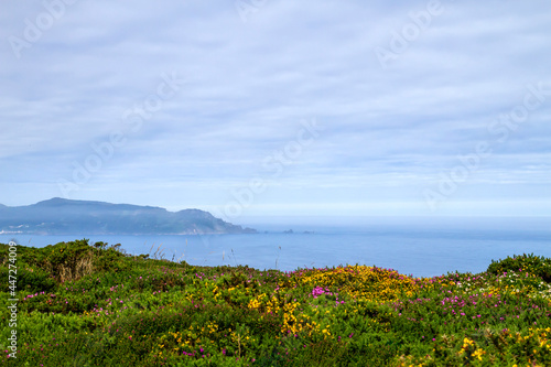 Springtime landscape in the Atlantic coastline of Galicia