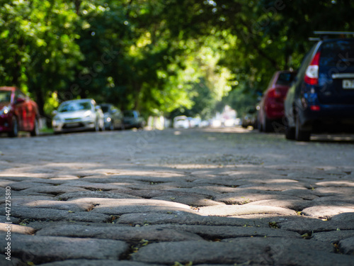 An alley lined with paving stones along which there are cars and a green crown of trees hangs from above. Low depth of field unfocused background