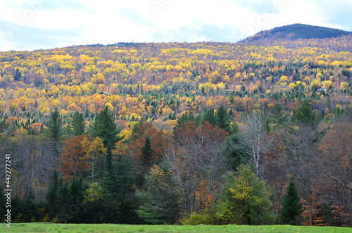 Some Panoramas of the Beautiful Foliage in New England, USA