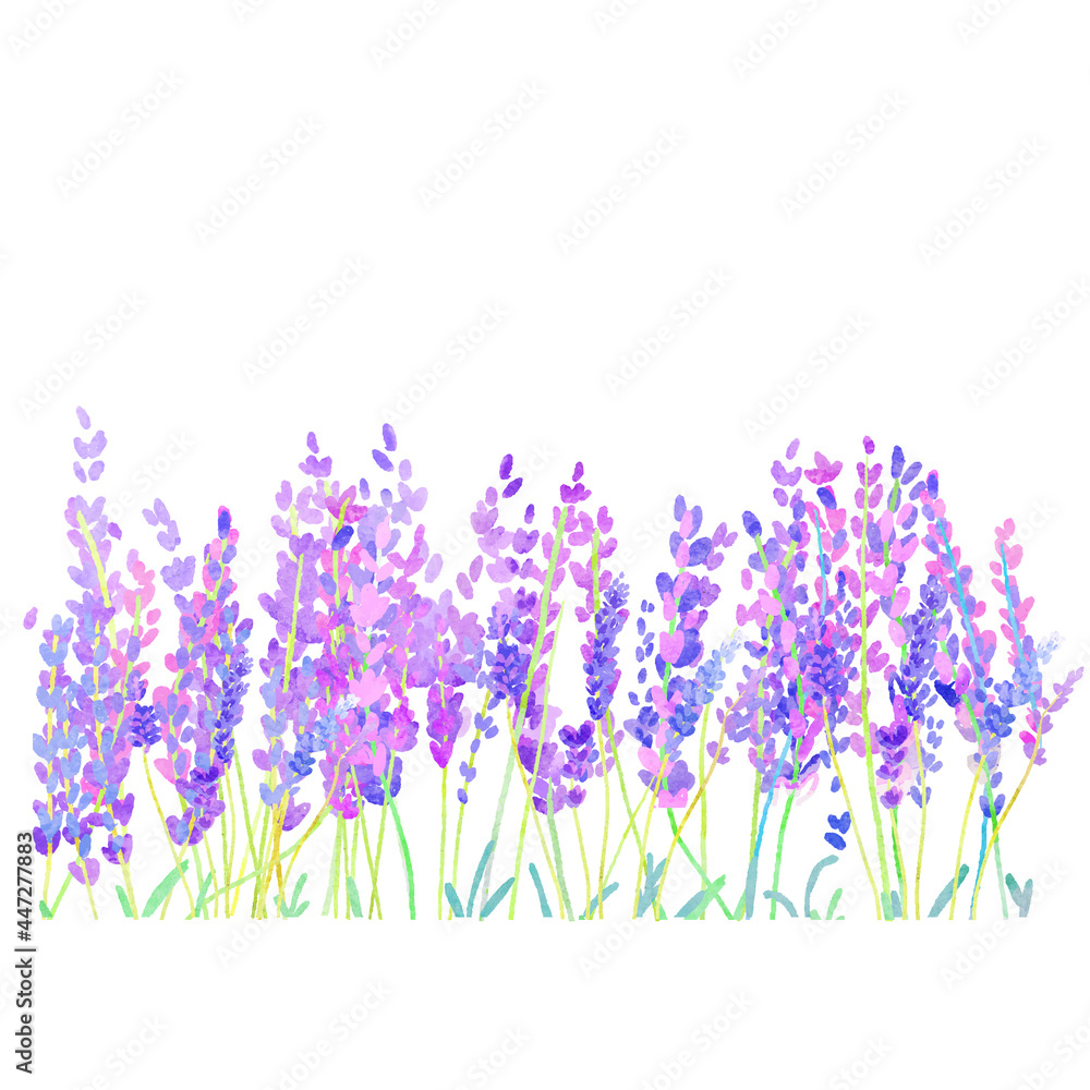 ラベンダー畑の水彩背景 Stock Vector Adobe Stock ラベンダー畑の水彩背景 Stock Vector Adobe Stock