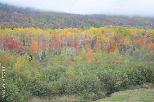 Some Panoramas of the Beautiful Foliage in New England, USA