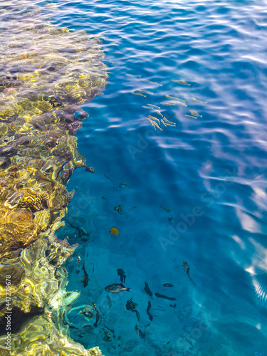Beautiful panorama of the Red Sea coast with coral reefs and colorful fish