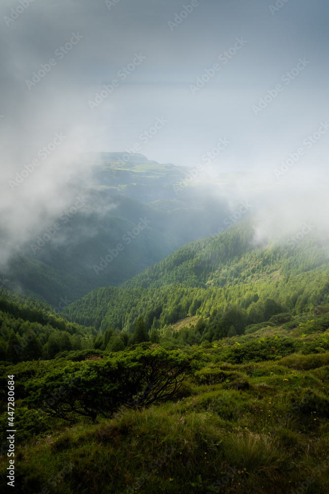 Clouds and fog quickly moving over Pico da Vara, highest point of Sao Miguel (Azores) on a summer afternoon