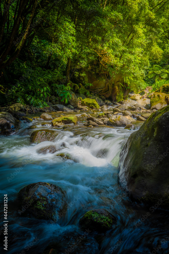 Beautifully flowing water in the riverbank on Sao Miguel, Azores Beautifully flowing water in the riverbank on Sao Miguel, Azores
