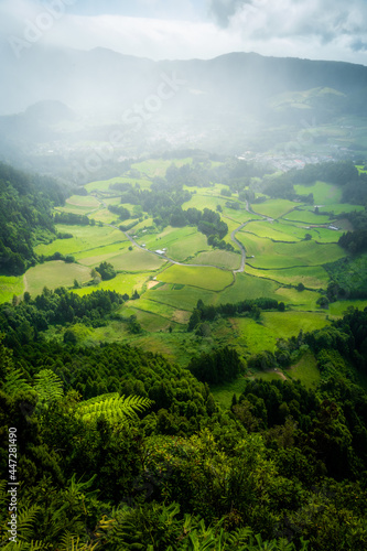 Hazy and foggy forest with green fields on a summer afternoon in the Azores