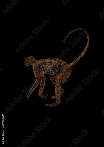 Monkey on black background