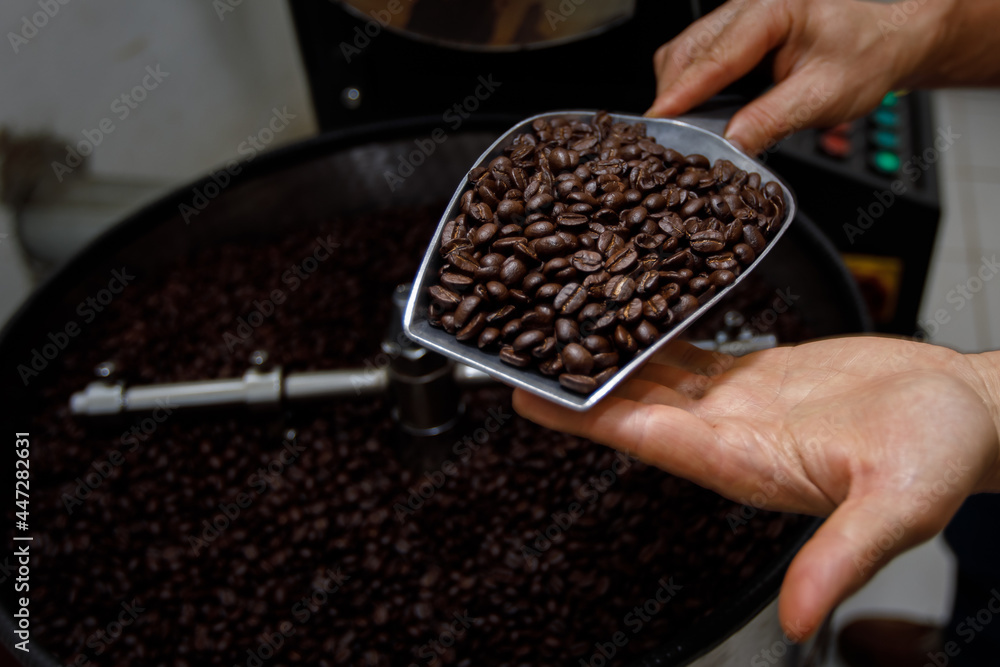 hand holding a probe of fresh roasted coffee beans hand holding a probe of fresh roasted coffee beans
