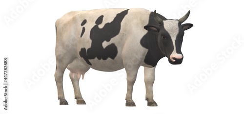 3d cow on a white background