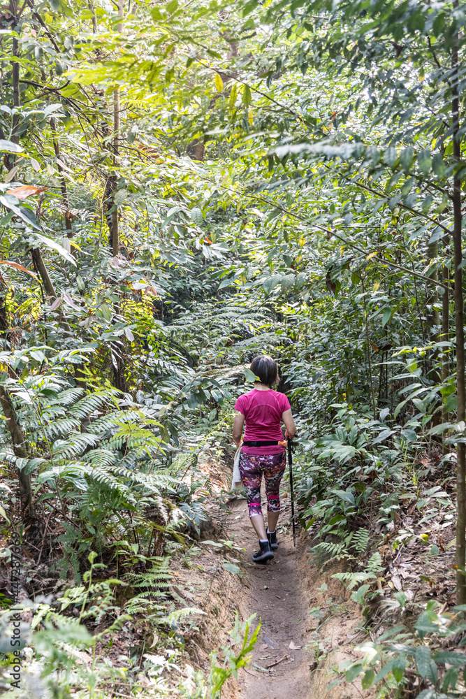 Single woman exercising by hiking in tropical rainforest in the morning Single woman exercising by hiking in tropical rainforest in the morning