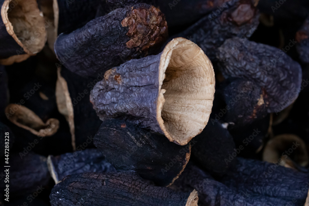 stuffed dried eggplant. Middle Eastern regional food. stuffed dried eggplant. Middle Eastern regional food.