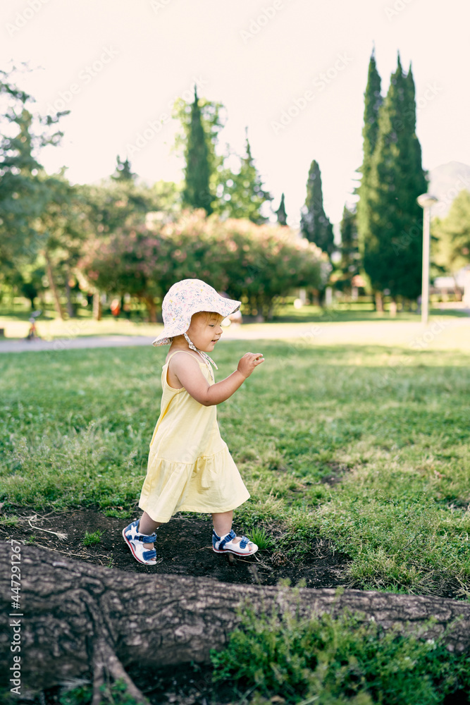 Little girl walks on the lawn at the roots of a tree