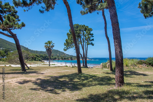 discovery of the island of beauty in southern Corsica, France photo