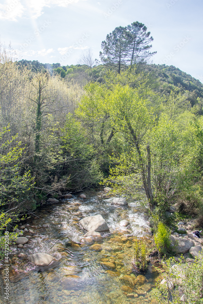 Fototapeta premium discovery of the island of beauty in southern Corsica, France