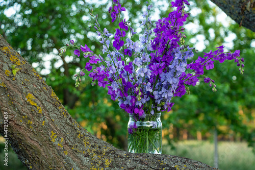Beautiful bouquet of home flowers - blue and purple delphinium in a jar of water