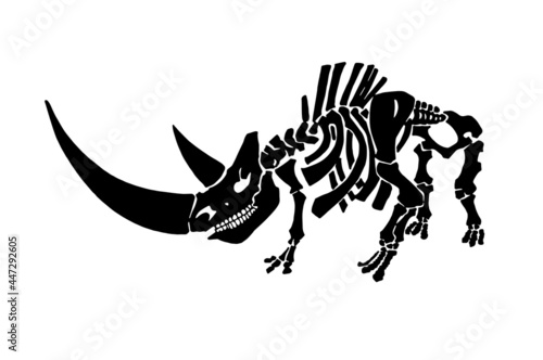 Graphical  vector illustration of 
woolly rhinoceros skeleton isolated on white background