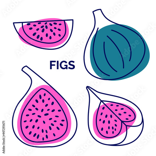 Set of exotic fruits. Vector doodle illustration of figs from outline and silhouette