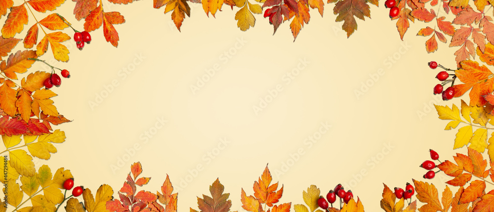 Autumn background. A frame made of autumn leaves. Autumn banner. Background with copy space. Horizontal. Top view. Autumn background. A frame made of autumn leaves. Autumn banner. Background with copy space. Horizontal. Top view.