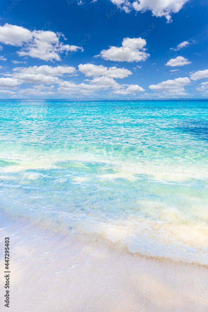 Obraz premium Beautiful sandy beach with wave crashing on sandy shore at Similan Islands Beautiful tropical sea Similan island No.4 at Similan national park, Thailand